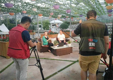 &#20048;&#40060;&#25163;&#26426;&#31449;&#20837;&#21475;&#45;&#20048;&#40060;&#111;&#110;&#108;&#105;&#110;&#101;&#40;&#20013;&#22269;&#41;